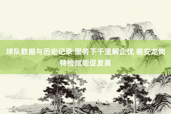 球队数据与历史记录 服务下千里解企忧 临安龙岗特检赋能促发展