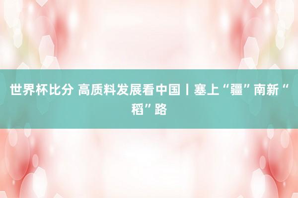世界杯比分 高质料发展看中国丨塞上“疆”南新“稻”路