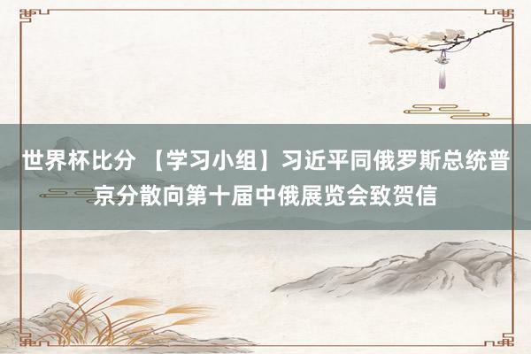 世界杯比分 【学习小组】习近平同俄罗斯总统普京分散向第十届中俄展览会致贺信