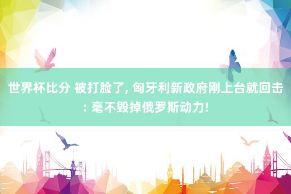 世界杯比分 被打脸了， 匈牙利新政府刚上台就回击: 毫不毁掉俄罗斯动力!