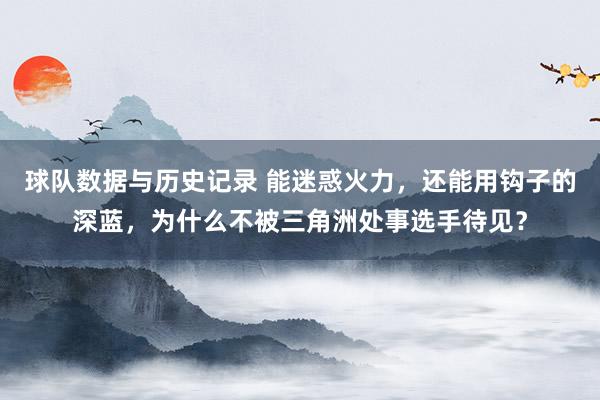 球队数据与历史记录 能迷惑火力，还能用钩子的深蓝，为什么不被三角洲处事选手待见？