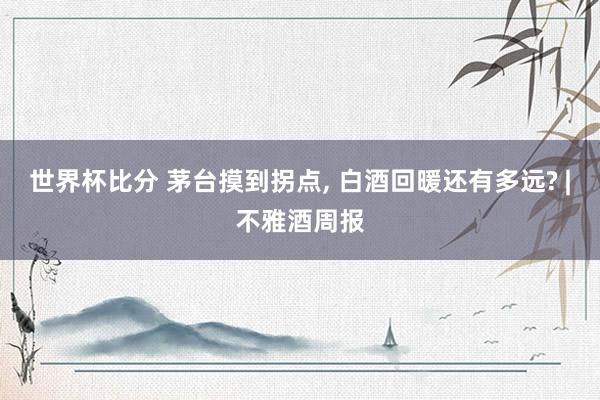 世界杯比分 茅台摸到拐点， 白酒回暖还有多远? |不雅酒周报