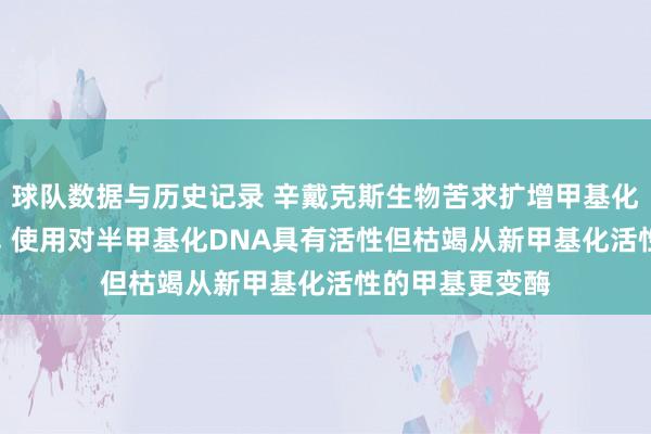 球队数据与历史记录 辛戴克斯生物苦求扩增甲基化DNA法子专利， 使用对半甲基化DNA具有活性但枯竭从新甲基化活性的甲基更变酶