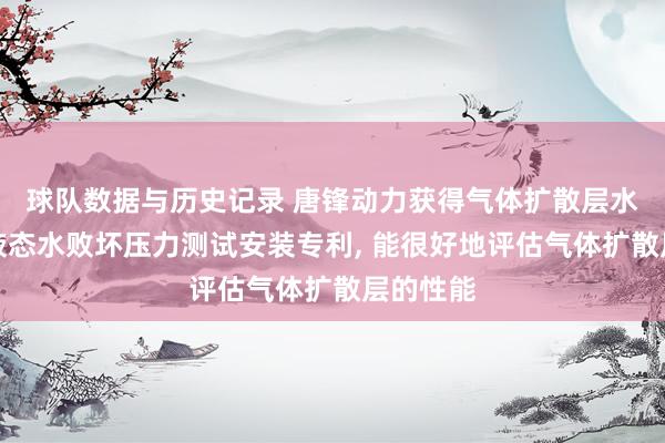 球队数据与历史记录 唐锋动力获得气体扩散层水经常向液态水败坏压力测试安装专利， 能很好地评估气体扩散层的性能