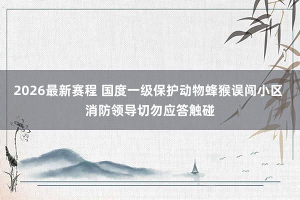 2026最新赛程 国度一级保护动物蜂猴误闯小区 消防领导切勿应答触碰