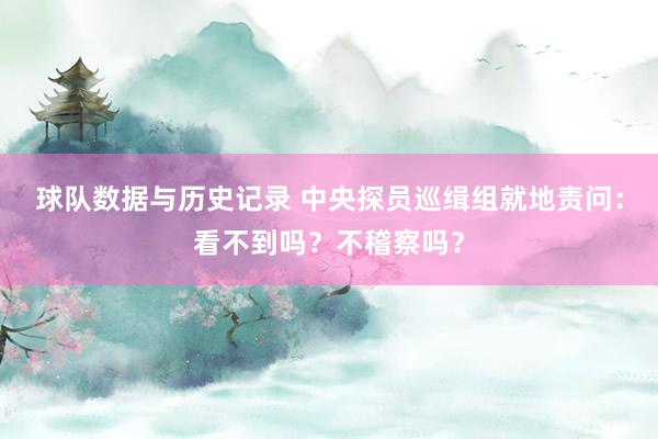 球队数据与历史记录 中央探员巡缉组就地责问：看不到吗？不稽察吗？