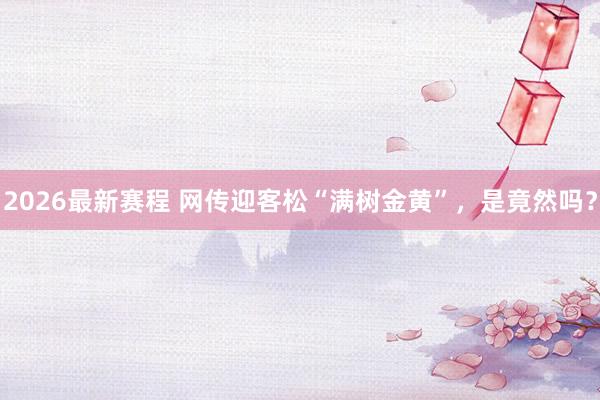 2026最新赛程 网传迎客松“满树金黄”，是竟然吗？