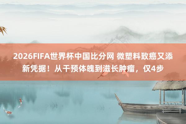 2026FIFA世界杯中国比分网 微塑料致癌又添新凭据！从干预体魄到滋长肿瘤，仅4步