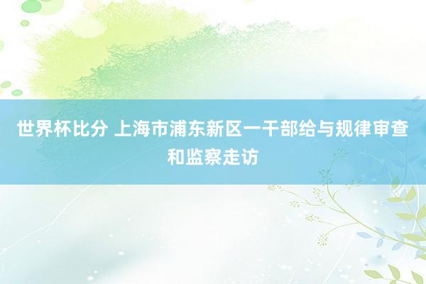 世界杯比分 上海市浦东新区一干部给与规律审查和监察走访