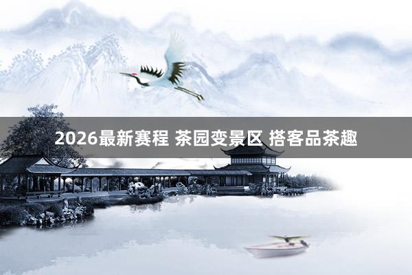 2026最新赛程 茶园变景区 搭客品茶趣