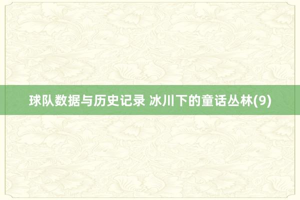 球队数据与历史记录 冰川下的童话丛林(9)