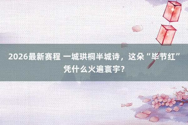 2026最新赛程 一城珙桐半城诗，这朵“毕节红”凭什么火遍寰宇？