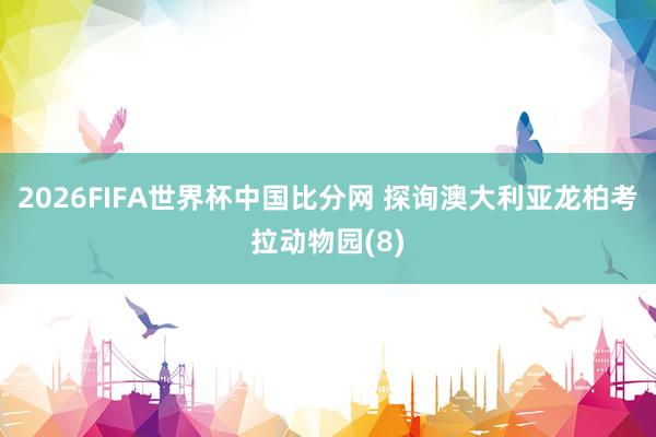 2026FIFA世界杯中国比分网 探询澳大利亚龙柏考拉动物园(8)