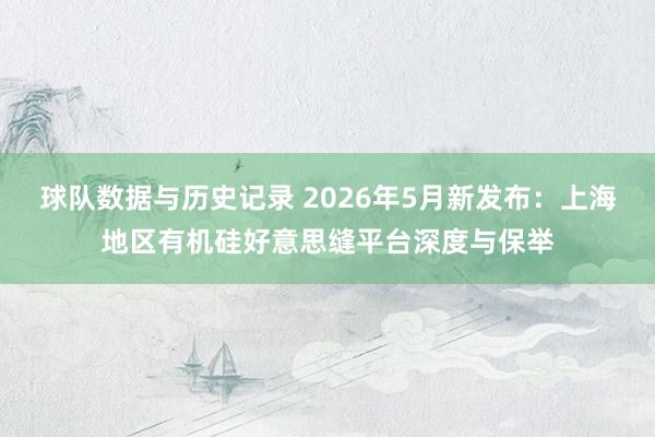 球队数据与历史记录 2026年5月新发布：上海地区有机硅好意思缝平台深度与保举