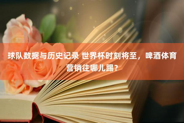 球队数据与历史记录 世界杯时刻将至，啤酒体育营销往哪儿踢？
