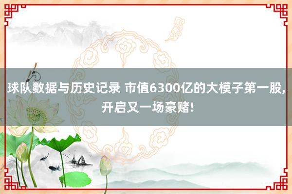球队数据与历史记录 市值6300亿的大模子第一股， 开启又一场豪赌!