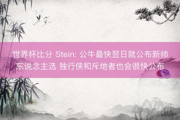 世界杯比分 Stein: 公牛最快翌日就公布新帅东说念主选 独行侠和斥地者也会很快公布