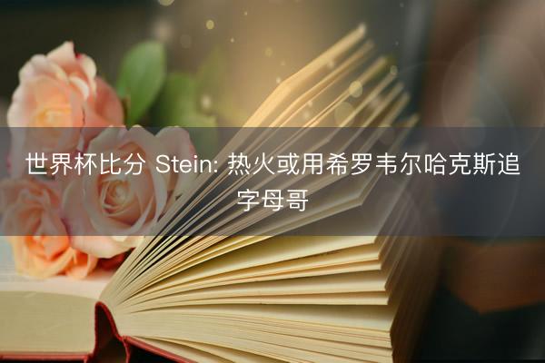 世界杯比分 Stein: 热火或用希罗韦尔哈克斯追字母哥